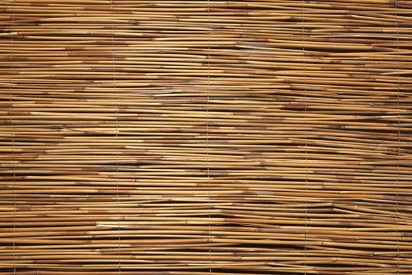 Textura de bambu — Fotografia de Stock