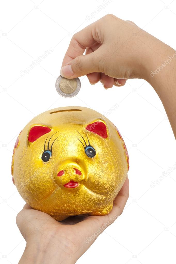 Hand putting coin into piggy bank