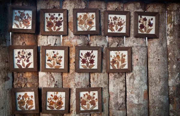 Flor seca sobre marco de madera —  Fotos de Stock