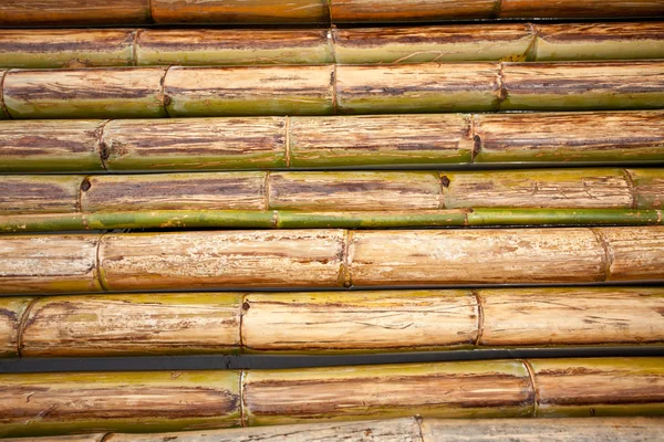 Бамбукових плотах — стокове фото