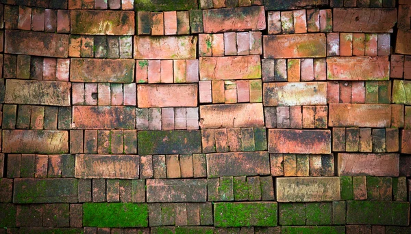 Tile brick Texture — Stock Photo, Image
