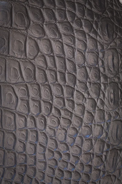 Texture en cuir crocodile — Photo