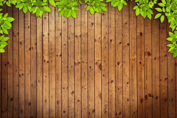 Vecchio grung Legno Texture con foglie uso per sfondo — Foto Stock