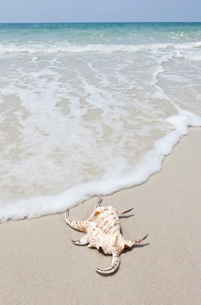 Море на белом песке и красивая волна — стоковое фото