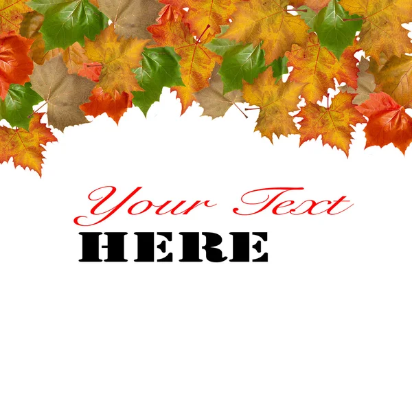 Осенний кленовый лист с копировальным пространством — стоковое фото