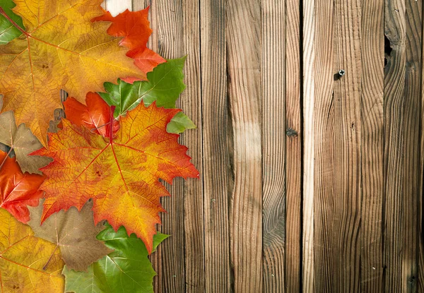 Wooden wall texture — Stock Photo, Image