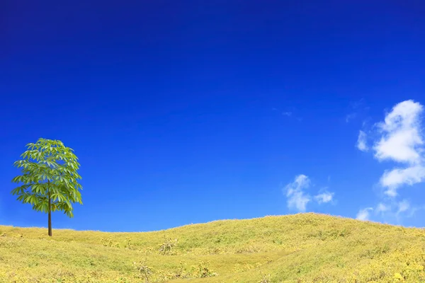 Bellissimo fiore giallo — Foto Stock