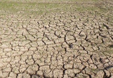 öldü ve kırık toprak