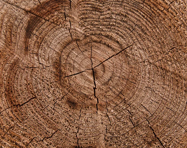 Wood Texture — Stock Photo, Image