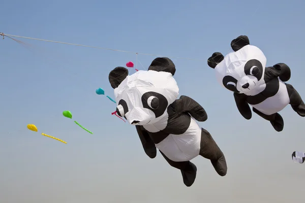 Panda draci — Stock fotografie