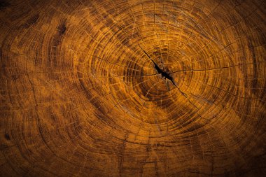 ahşap doku süslemeleri