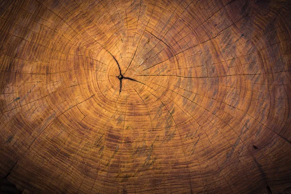 Dekorieren Holzstruktur — Stockfoto