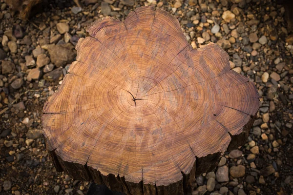 Decora la textura de madera — Foto de Stock