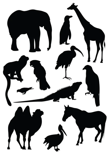 Conjunto vectorial de siluetas negras de animales — Vector de stock