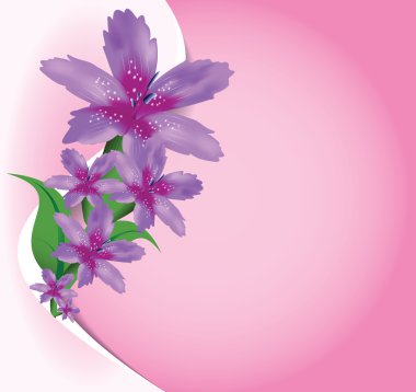 vector floral resimli arka plan