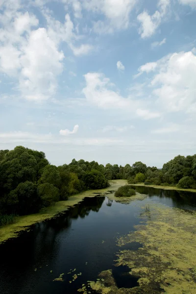 Пейзаж - луг, голубое небо и река — стоковое фото