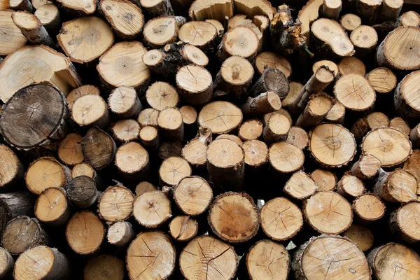 Background of dry chopped firewood logs stacked up on top of eac Stock Photo