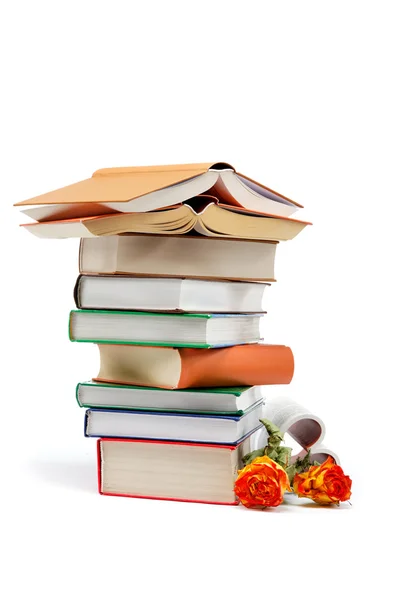 A stack of books on a white background. — Stock Photo, Image