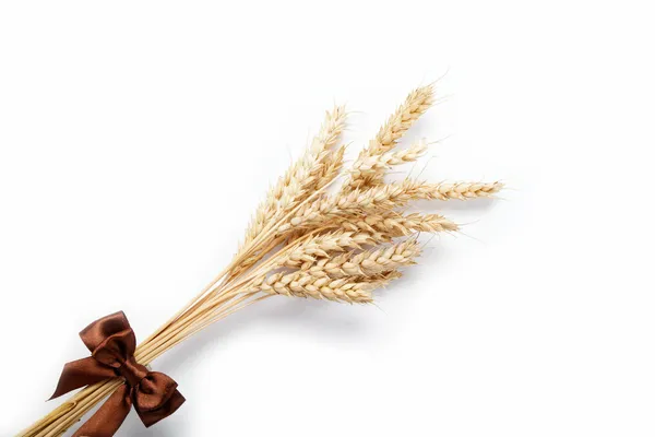 Wheat ears isolated on white background. — Stock Photo, Image