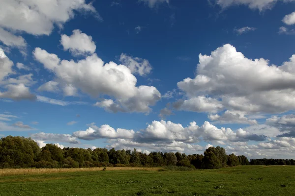 Field of summer grass and bright blue sky. — Stock Photo, Image