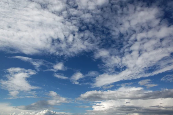 Cielo blu con nuvole primo piano — Foto Stock