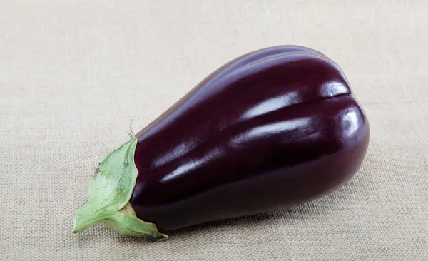 Verse aubergine geïsoleerd op een doek. — Stockfoto