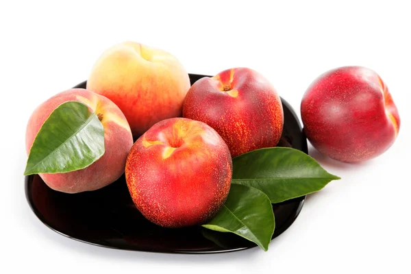 Buah persik dan nektarin segar di piring yang diisolasi di punggung putih — Stok Foto