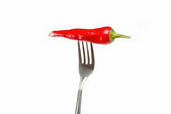 Red hot chili pepper pricked on the steel fork isolated — Stock Photo, Image