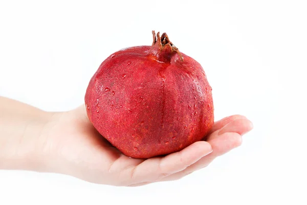 Pomegranate in a female hand isolated on white background — Stock Photo, Image