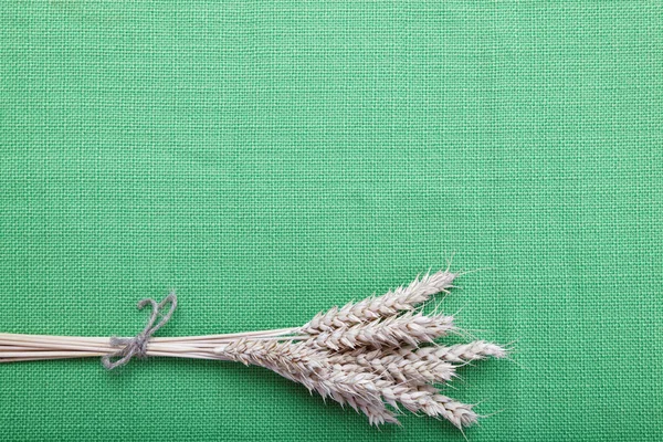 Ears of wheat on the green canvas. — Stock Photo, Image