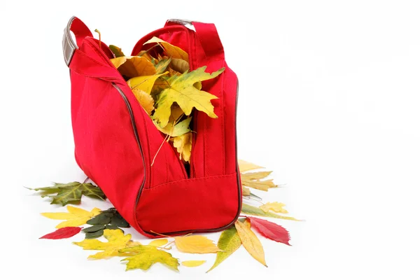 Colorful leaves sennie red bag isolated on white background. — Stock Photo, Image