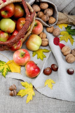 Autumn Tema. elma ve ceviz keten tuval üzerine.