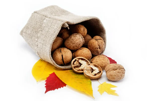 Walnuts in a sack on a white background. — Stock Photo, Image
