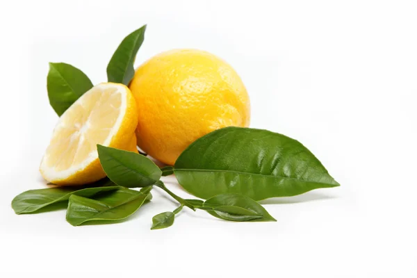 Buah segar. Lemon, terisolasi pada latar belakang putih . — Stok Foto
