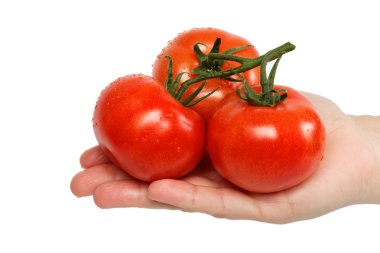 güzel kadının el ile üzerine beyaz izole bir taze domates.