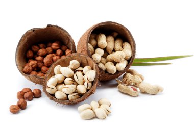 fındık, yer fıstığı ve antep fıstığı coconu kabuğu