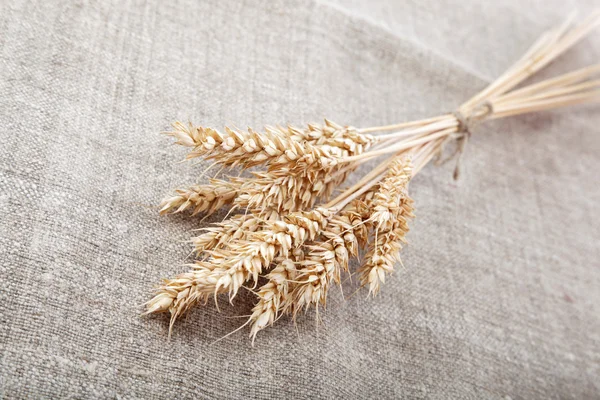 キャンバス上の小麦の耳. — ストック写真