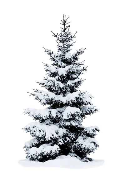 Arbre de Noël recouvert de neige isolé sur fond blanc . — Photo