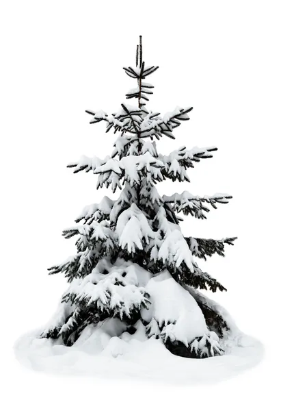 Beyaz arka planda noel ağacı