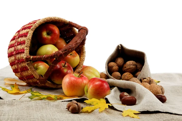 Najaar thema. appels en walnoten op linnen doek. — Stockfoto