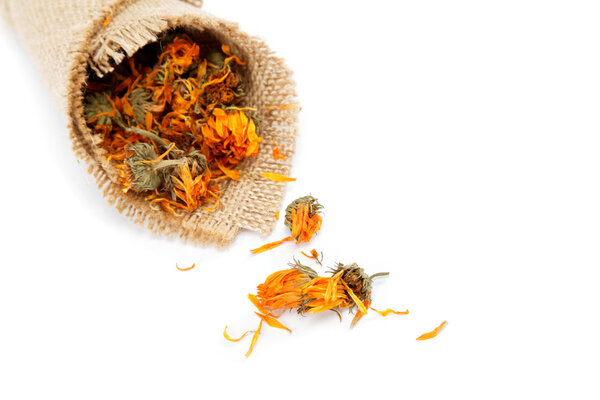 Травы. Сушеные календулы или цветы мариголд, изолированные на белом
