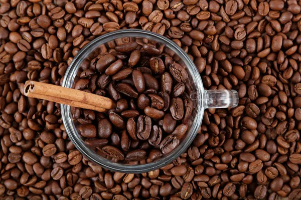 Šálek s kávová zrna a skořici. — Stock fotografie