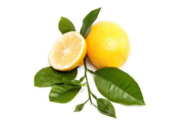 Fresh fruit. Lemon, isolated on a white background. — Stock Photo, Image