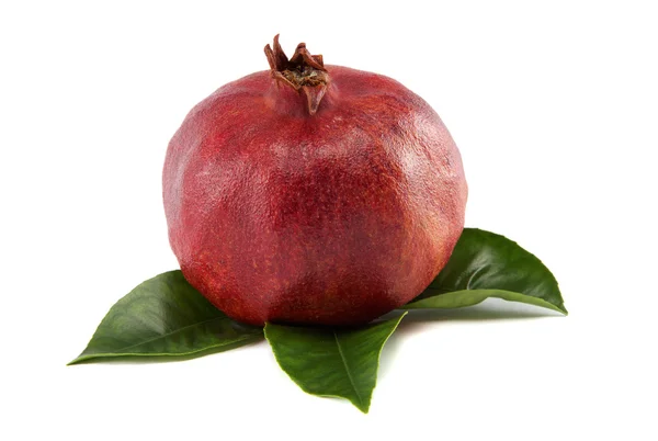 Granatäpple med gröna blad isolerad på vit bakgrund. — Stockfoto