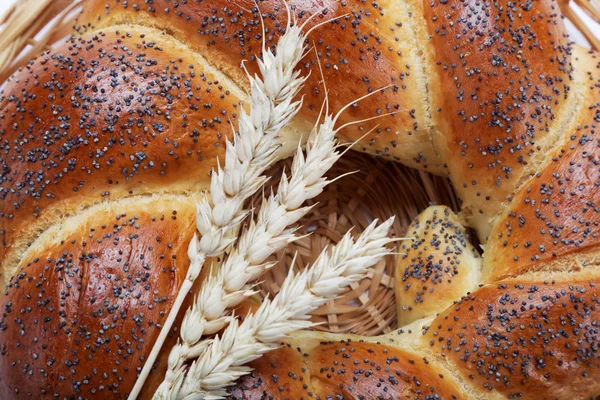 Ein frischer Laib Brot mit Mohn bestreuen. — Stockfoto