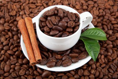 fincan kahve çekirdekleri ve tarçın ile.