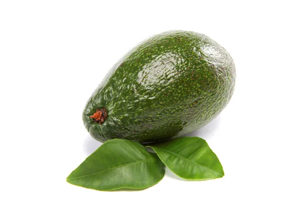 Avocado isolated on white background. — Stock Photo, Image