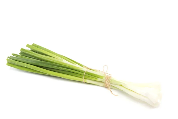 Cebollas verdes frescas aisladas sobre fondo blanco . — Foto de Stock