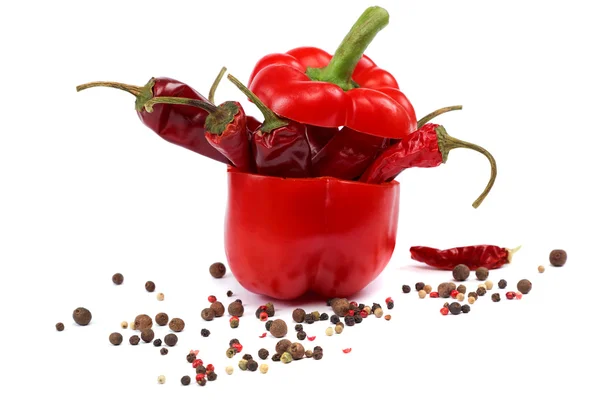 Red pepper and spices on a white background. — Stock Photo, Image