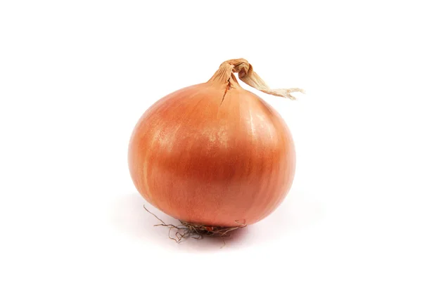 Ripe onion on a white background. — Stock Photo, Image